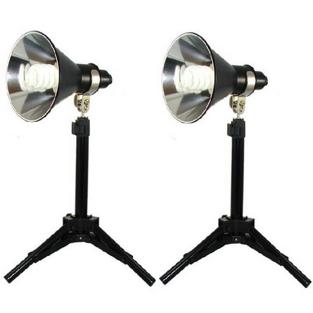 Lumiere L.A. L60256 2x 100W Tabletop Photo Studio Light